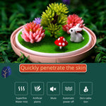 Imycoo WT602 Umidificatore portatile mini micro paesaggistico da 2 W, carica USB, per aromaterapia, con luce colorata a LED, capacità del serbatoio dell'acqua: 180 ml, DC 5 V.