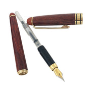 Penna stilografica in legno con pistone trasparente, pennino extra fine da 0,7 mm, per ufficio scolastico
