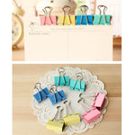 Clip per file in ferro 24 pezzi colore casuale