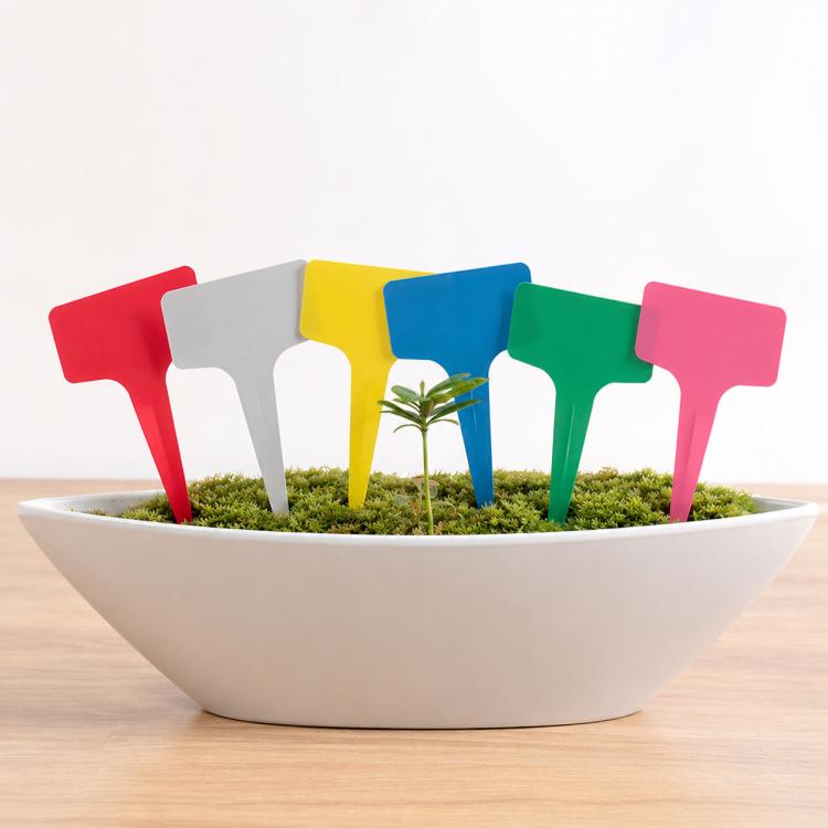 Etichette da giardinaggio tipo T in plastica 100 pezzi