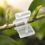 100 PZ Innesto di piante Giardinaggio Cartella per innesto in plastica Clip per innesto Trasparente Giardinaggio Clip per innesto in plastica Pomodori Clip per innesto, Plant Grafting Clips