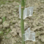100 PZ Innesto di piante Giardinaggio Cartella per innesto in plastica Clip per innesto Trasparente Giardinaggio Clip per innesto in plastica Pomodori Clip per innesto, Plant Grafting Clips