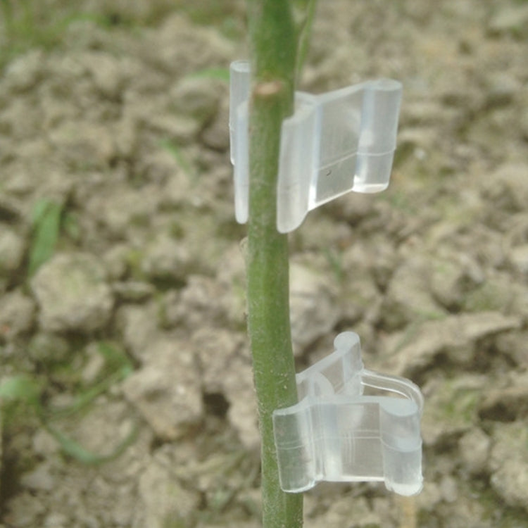 100 PZ Innesto di piante Giardinaggio Cartella per innesto in plastica Clip per innesto Trasparente Giardinaggio Clip per innesto in plastica Pomodori Clip per innesto, Plant Grafting Clips