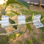 100 PZ Innesto di piante Giardinaggio Cartella per innesto in plastica Clip per innesto Trasparente Giardinaggio Clip per innesto in plastica Pomodori Clip per innesto, Plant Grafting Clips