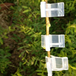 100 PZ Innesto di piante Giardinaggio Cartella per innesto in plastica Clip per innesto Trasparente Giardinaggio Clip per innesto in plastica Pomodori Clip per innesto, Plant Grafting Clips