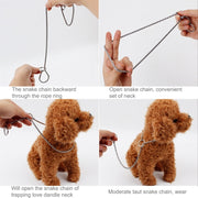 Collari per animali domestici con catena P da 65 cm. Collare per cani con catena per cani, 65cm