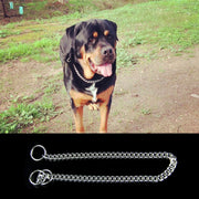 Collari per animali domestici con catena P da 70 cm. Collare per cani con catena per cani, 70cm