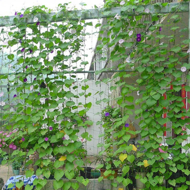 Piante arrampicate Cornice in rattan Ornamento Portafiori Fiori Piante Artigianato Appeso Decorazione Rete da giardinaggio, Dimensioni: 1,8 x 2,7 m, 1.8 x 2.7m