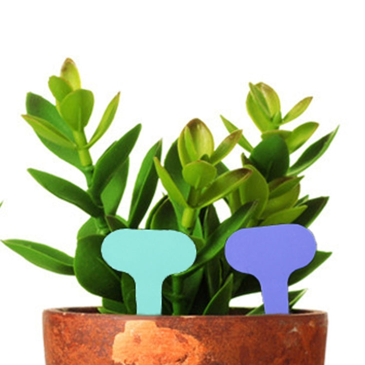 Etichetta floreale da 100 pezzi Etichetta da giardinaggio Etichetta impermeabile con inserto per piccola carta Etichetta in vaso, consegna colore casuale, Plant Label 3