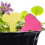 Etichetta floreale da 100 pezzi Etichetta da giardinaggio Etichetta impermeabile con inserto per piccola carta Etichetta in vaso, consegna colore casuale, Plant Label 3