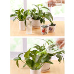 Ugello spruzzatore d'acqua portatile tenuto in mano da 4 pezzi. Forniture creative per fiori orticoli. Macchina per irrigazione in vaso per la casa, Watering Pot 6
