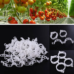 500 fermacravatte fissi in plastica da 25 mm, per gru sospesa, clip fisse per piante di viti, 500 PCS