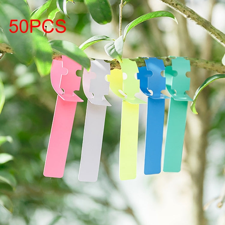 Etichetta impermeabile da 50 pezzi Etichetta per piante floreali Etichetta per giardinaggio, consegna colore casuale, Plant Label 2
