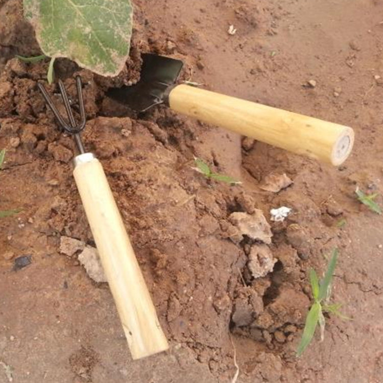 Rastrello Pala Cazzuola da scavo 3 in 1 Manico in legno Testa in metallo Mini Attrezzo per piante da giardino Attrezzo da giardinaggio Attrezzi per fiori da giardino Attrezzi da giardino Set combinato, Plant Tool 3