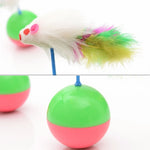 Durevoli giocattoli preferiti per gatti, piume, topi, bicchieri, giocattoli di plastica, palline, diametro: 5,5 cm, Ball Diameter: 5.5cm