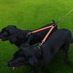 Doppio guinzaglio 2 in 1 in TPU per cani 25 cm