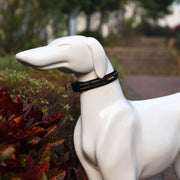 Guinzaglio per trazione con collare traspirante riflettente in poliestere per cani da compagnia, dimensioni: L, 2,5 * 47 * 54 cm, Size: L, 2.5*47*54cm