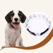 Collare a catena specifico per cani da addestramento con catena regolabile in metallo di alta qualità per cani da compagnia, dimensioni: 4,0 mm * 60 cm, Dogs Chain Collar