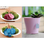 100 PZ Impermeabile Durevole e Riutilizzabile Plastica Vivaio Etichetta per Piante da Giardino Etichetta per Fiori Etichette per Etichetta per Piante, Consegna Colore Casuale, Plant Label 1