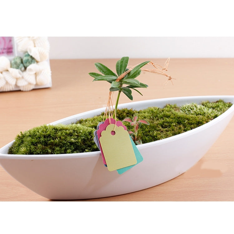 100 PZ Impermeabile Durevole e Riutilizzabile Plastica Vivaio Etichetta per Piante da Giardino Etichetta per Fiori Etichette per Etichetta per Piante, Consegna Colore Casuale, Plant Label 1