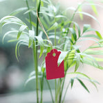 100 PZ Impermeabile Durevole e Riutilizzabile Plastica Vivaio Etichetta per Piante da Giardino Etichetta per Fiori Etichette per Etichetta per Piante, Consegna Colore Casuale, Plant Label 1