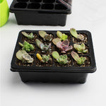 5 PZ Vassoio per Piantine Piastra per Germogli 12 Fori Vasi per vivai Coperchi per Vassoi Scatola per Giardinaggio Bonsai Mini Piastra per vivai a effetto serra, 12 Holes, 5pcs 12 Holes