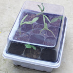 5 PZ Vassoio per Piantine Piastra per Germogli 12 Fori Vasi per vivai Coperchi per Vassoi Scatola per Giardinaggio Bonsai Mini Piastra per vivai a effetto serra, 12 Holes, 5pcs 12 Holes