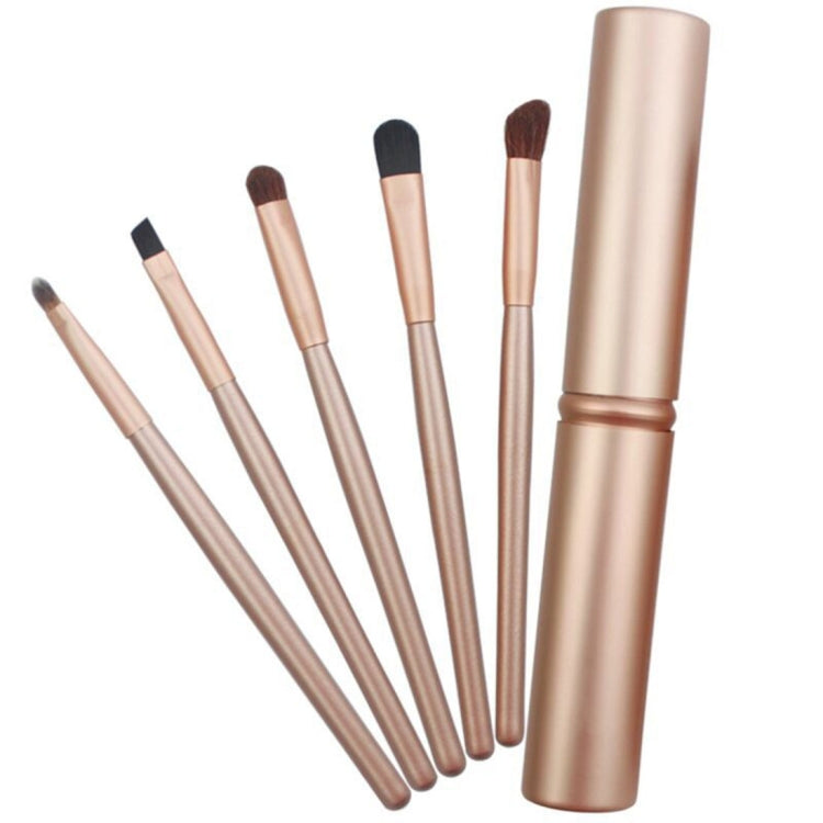 Set di pennelli per trucco occhi con manico da 5 pezzi con tubo in alluminio