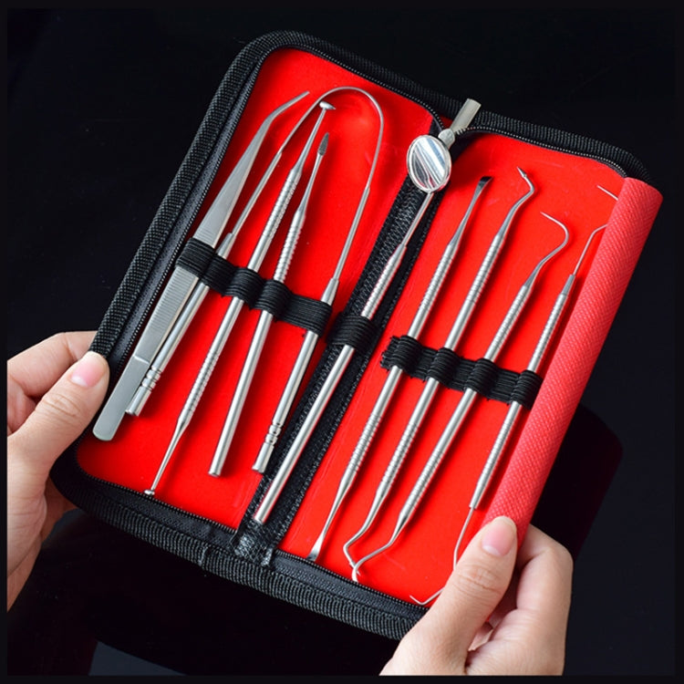 Set di strumenti per dentisti in acciaio inossidabile 9 in 1, 9 In 1