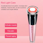 Strumento bellezza viso EMS caldo e freddo BLK-D818
