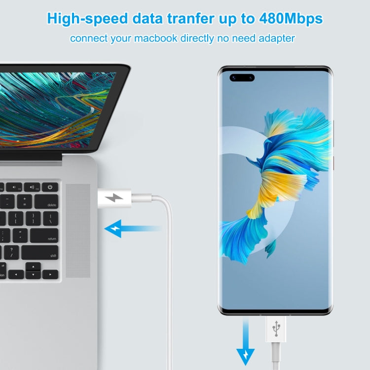 Cavo ricarica rapida HAWEEL USB-C Type-C 2m 25W 3A