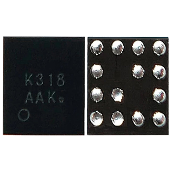 Audio CI Module K318, K318