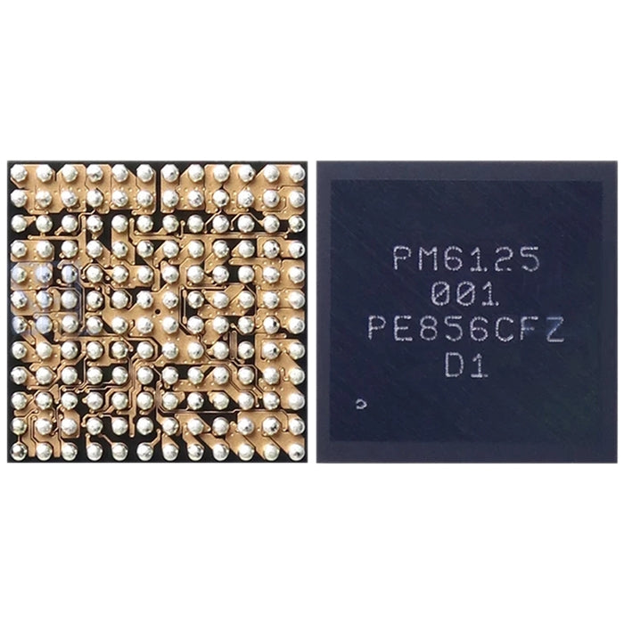 Modulo CI di potenza PM6125 001, PM6125 001