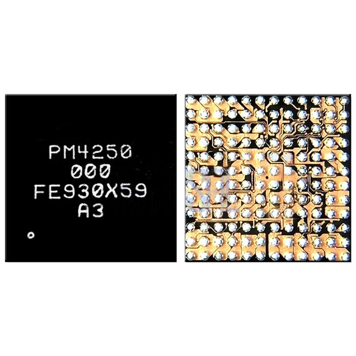 Modulo CI di potenza PM4250, PM4250