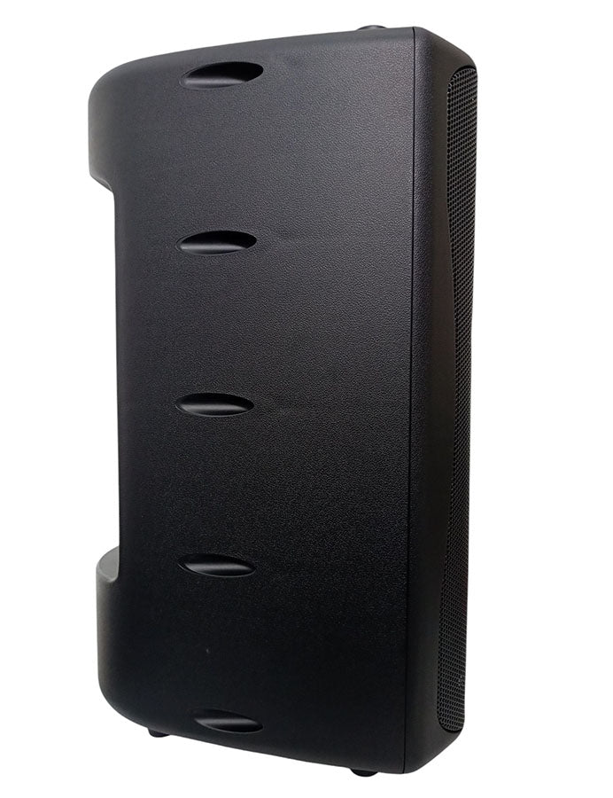Cassa acustica passiva 250W 8 OHMS FYS-12PA-58P