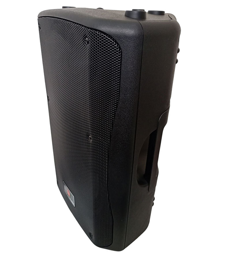 Cassa acustica passiva 250W 8 OHMS FYS-12PA-58P
