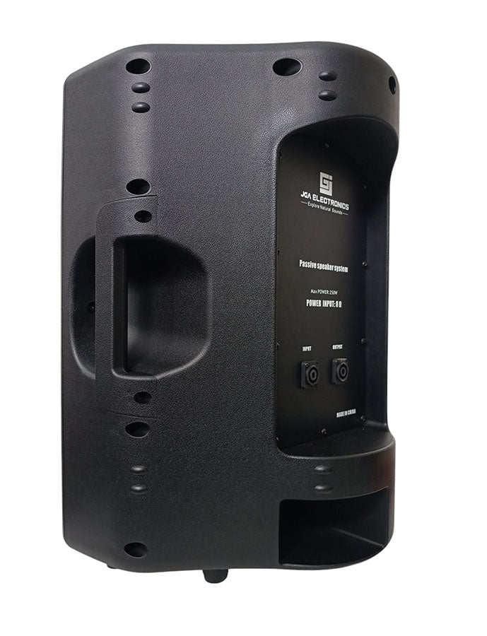 Cassa acustica passiva 250W 8 OHMS FYS-12PA-58P