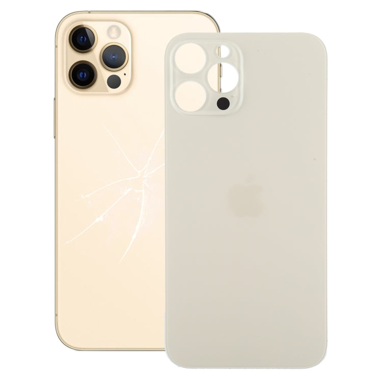 Cover posteriore con foro fotocamera per iPhone 12 Pro Max