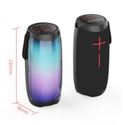 Altoparlante Bluetooth HOPESTAR P40 Portatile