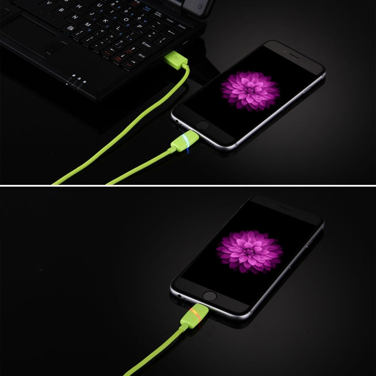 Cavo dati 8 pin USB 1 metro per iPhone e iPad