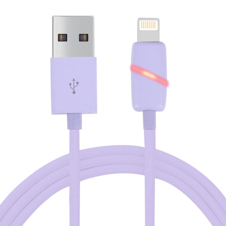 Cavo dati 8 pin USB 1 metro per iPhone e iPad