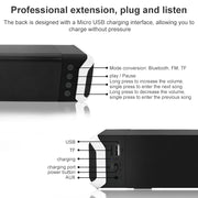 Altoparlante Bluetooth NewRixing NR-2017