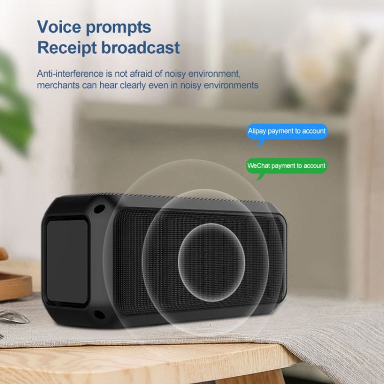 Altoparlante Bluetooth Wireless impermeabile 20W