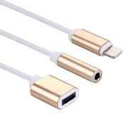 Cavo adattatore audio 8 pin per iPhone