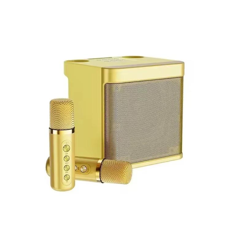 Microfono wireless Bluetooth con altoparlante karaoke YS-203