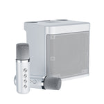 Microfono wireless Bluetooth con altoparlante karaoke YS-203