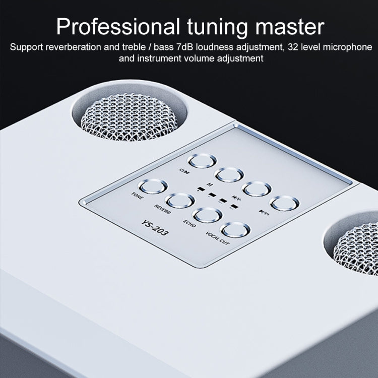 Microfono wireless Bluetooth con altoparlante karaoke YS-203