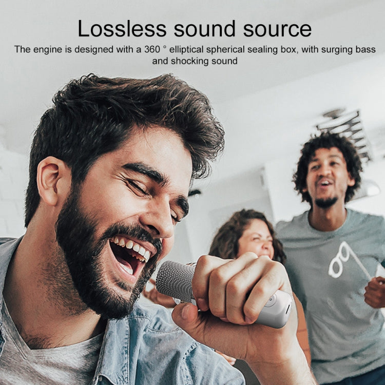Microfono wireless Bluetooth con altoparlante karaoke YS-203