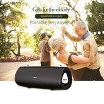 ZEALOT S39 Subwoofer Bluetooth Portatile