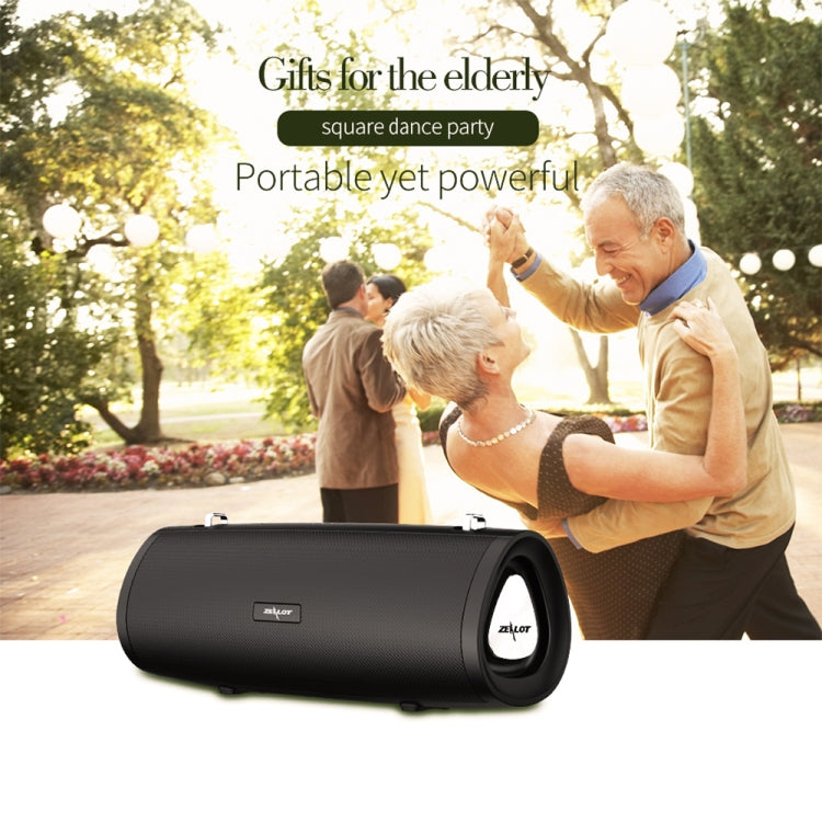ZEALOT S39 Subwoofer Bluetooth Portatile